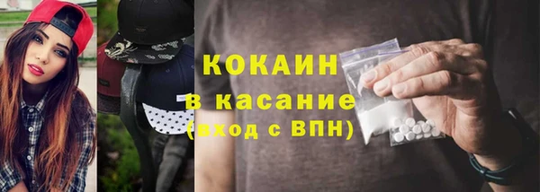 мдпв Богданович