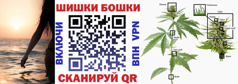Канабис SATIVA & INDICA  где найти наркотики  ссылка на мегу зеркало  Озёрск 